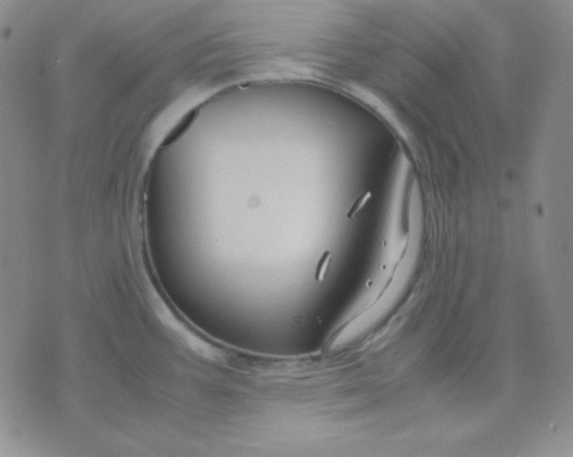 X0000071971387200607282047