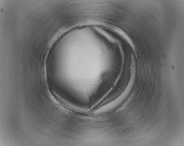 X0000071971388200607282047