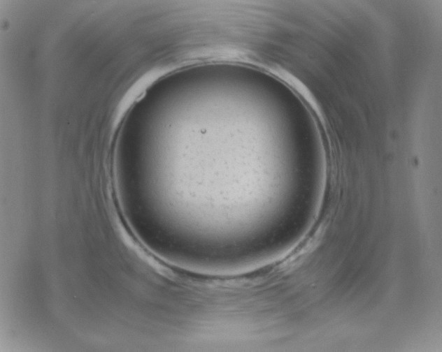 X0000071971389200607282047