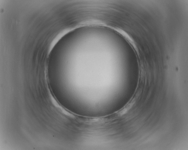 X0000071971390200607282047