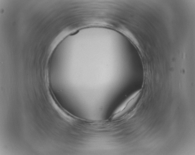 X0000071971391200607282047