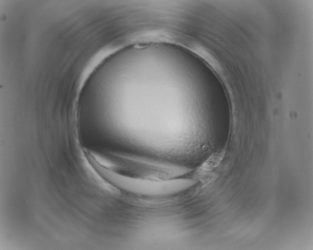 X0000071971392200607282047