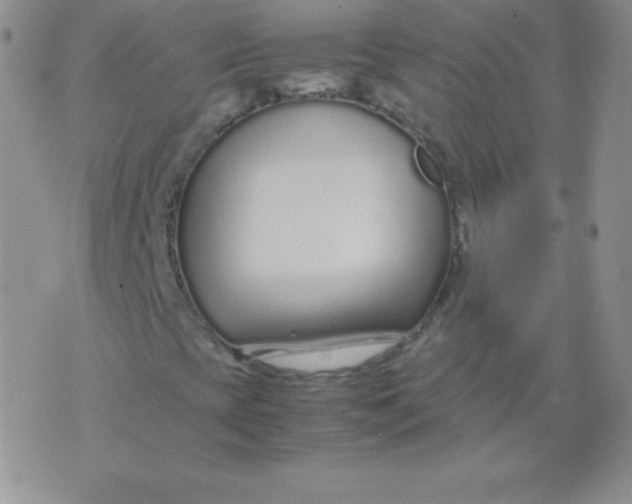 X0000071971393200607282046