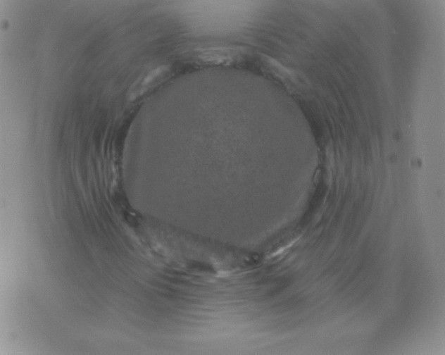 X0000071971394200607282046