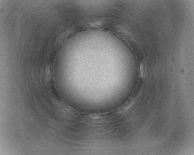 X0000071971395200607282046