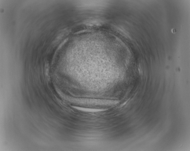 X0000071971396200607282046