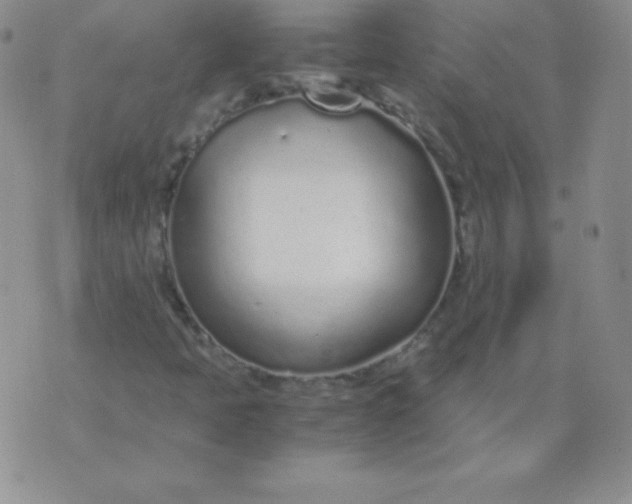 X0000071971397200607282046