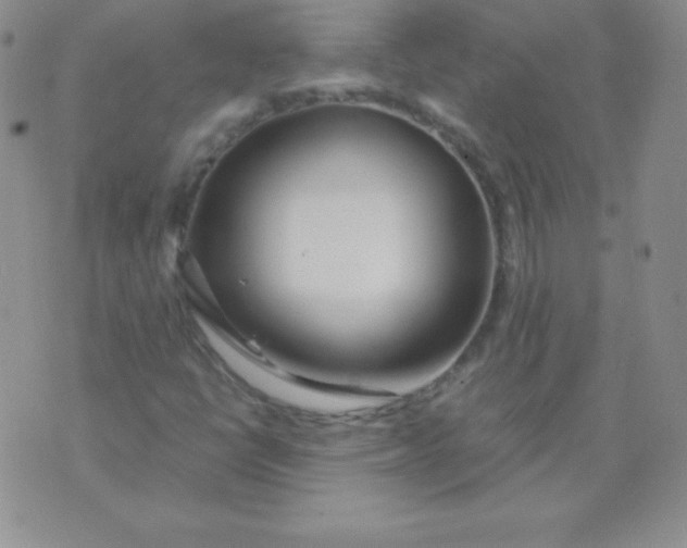 X0000071971398200607282046