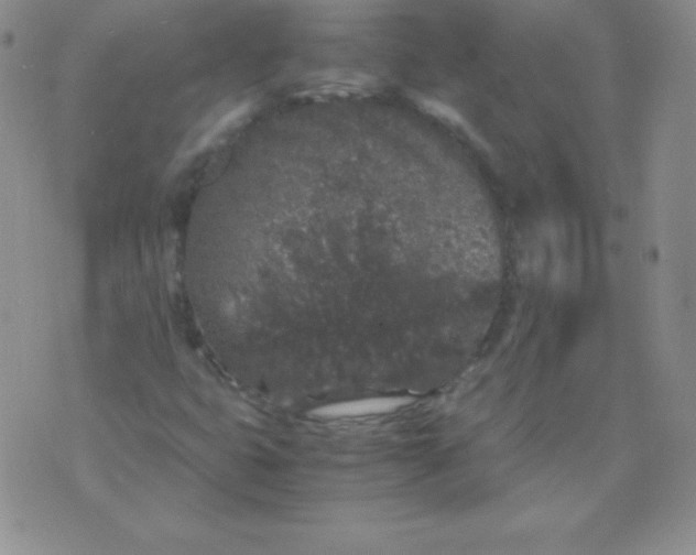 X0000071971399200607282046