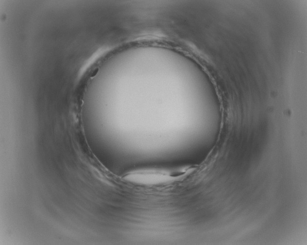 X0000071971400200607282046