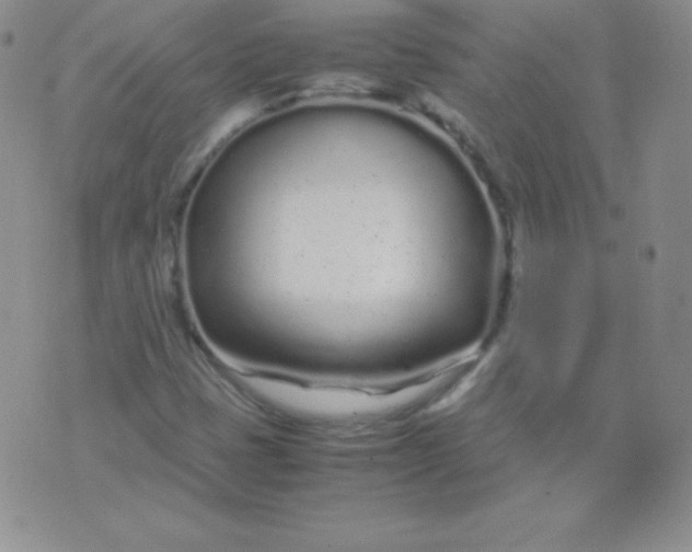 X0000071971401200607282046