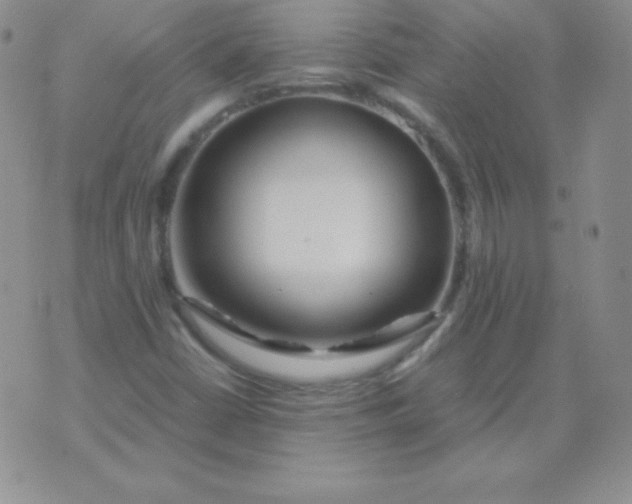 X0000071971402200607282046