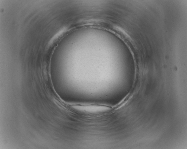 X0000071971403200607282046