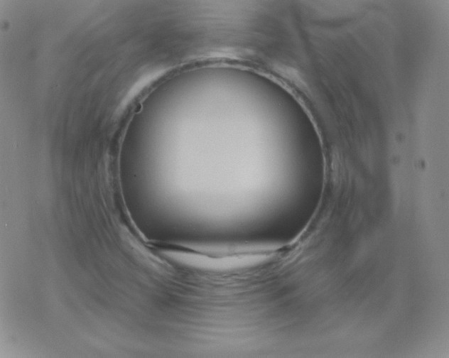 X0000071971404200607282046