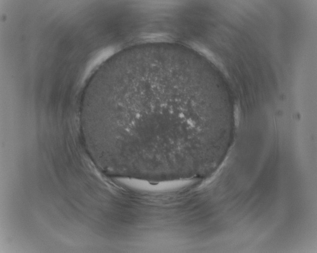 X0000071971405200607282046