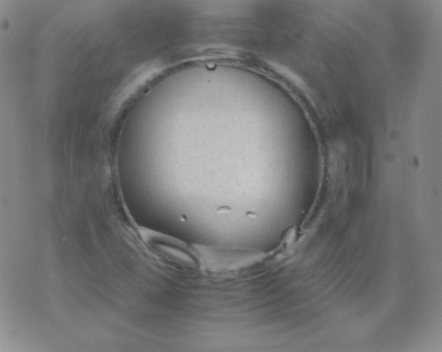 X0000071971407200607282046