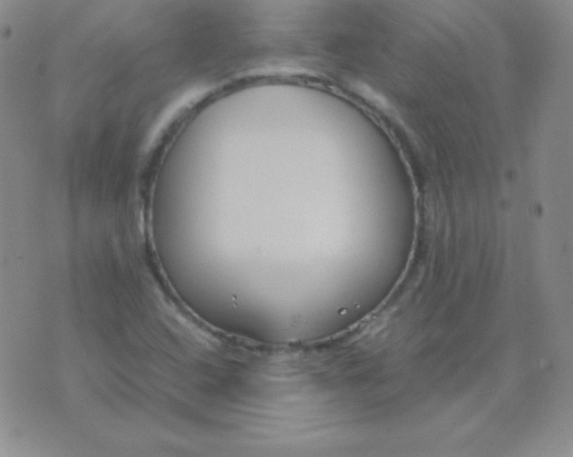 X0000071971408200607282046