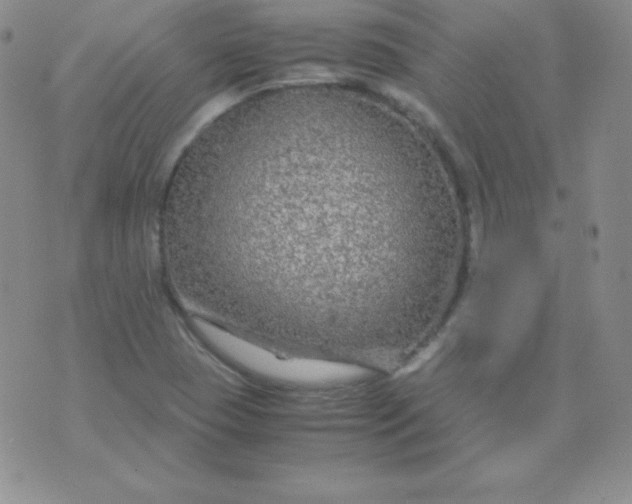 X0000071971409200607282046