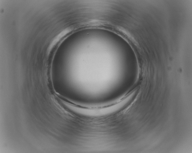 X0000071971410200607282046