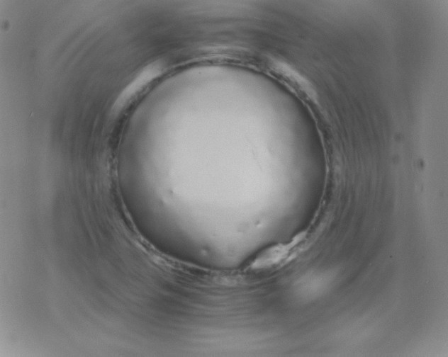 X0000071971411200607282046