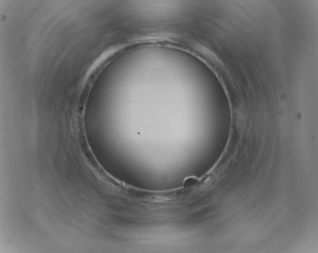 X0000071971412200607282047