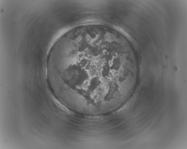 X0000071971413200607282047