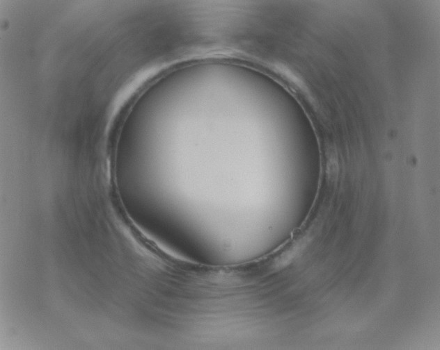 X0000071971414200607282047