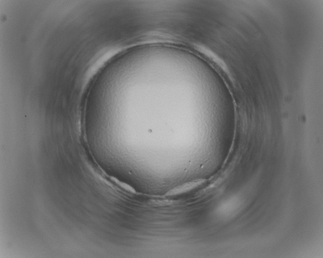 X0000071971415200607282047