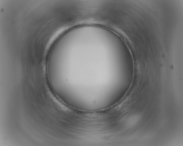 X0000071971416200607282047