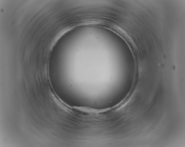 X0000071971417200607282047