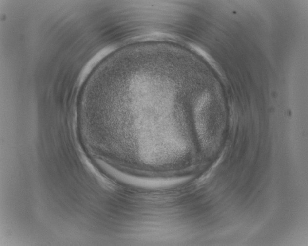 X0000071971418200607282047