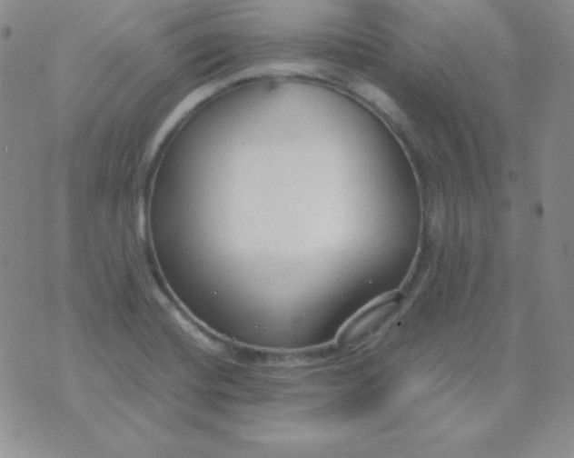 X0000071971420200607282047