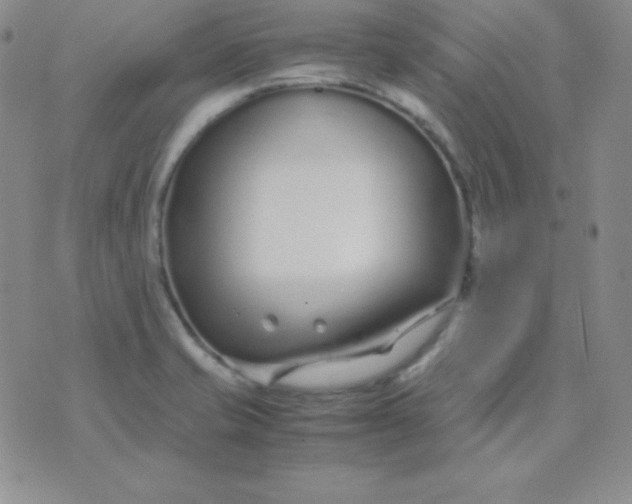 X0000071971421200607282047