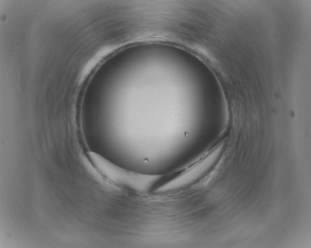 X0000071971422200607282047