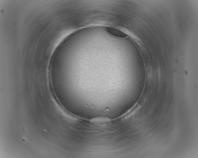 X0000071971423200607282047