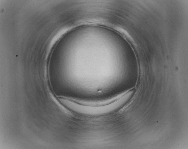 X0000071971424200607282047