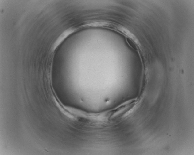 X0000071971425200607282047