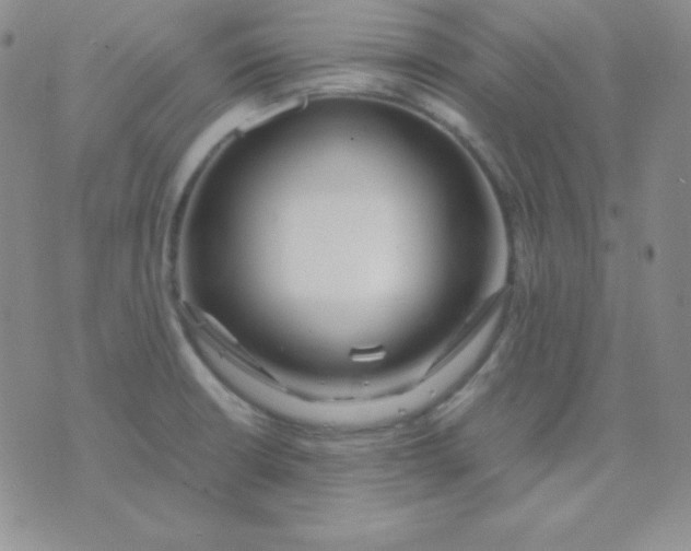 X0000071971426200607282047