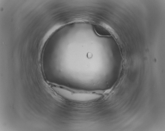 X0000071971427200607282047