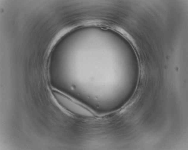 X0000071971429200607282047