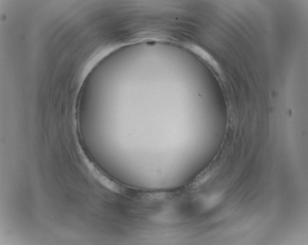 X0000071971431200607282047