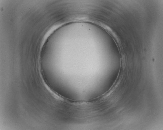 X0000071971432200607282047