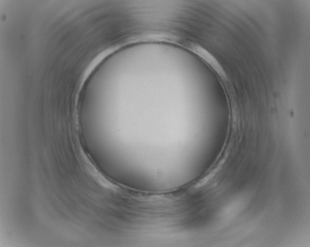 X0000071971436200607282047