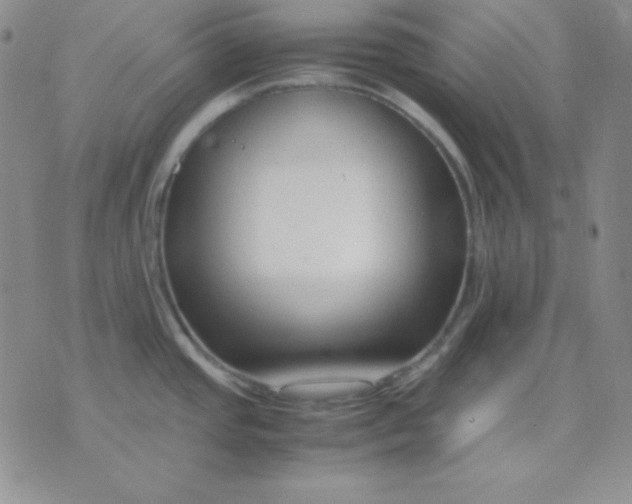 X0000071971437200607282047