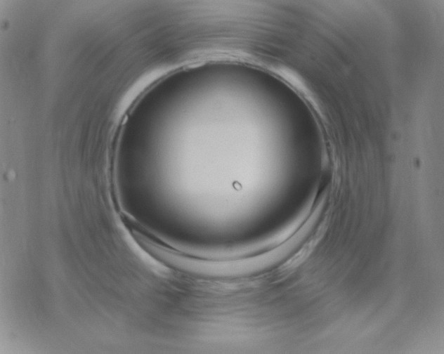 X0000071971438200607282047