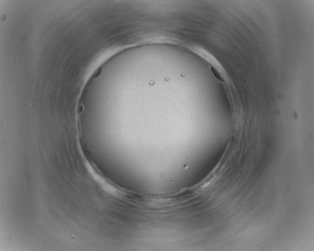 X0000071971439200607282047