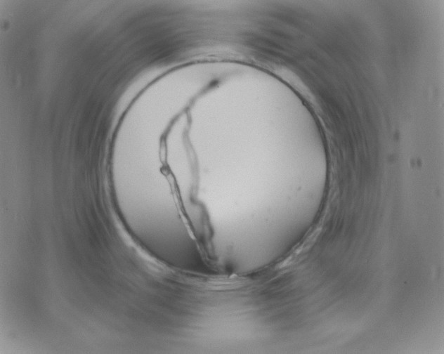 X0000071971440200607282047