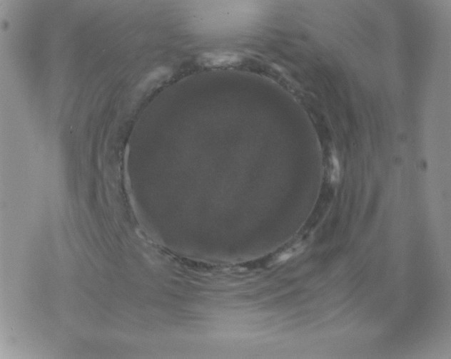 X0000071971441200607282046