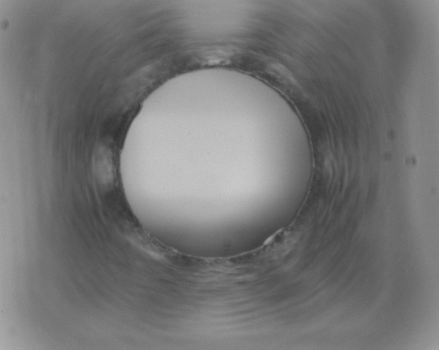 X0000071971442200607282046