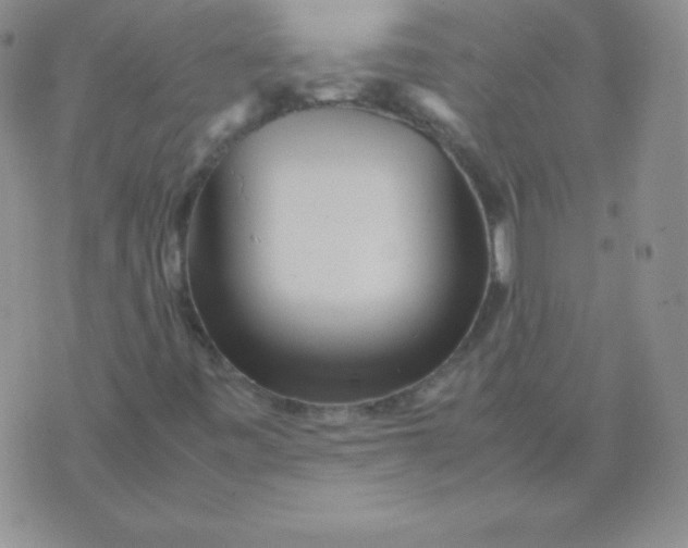 X0000071971443200607282046